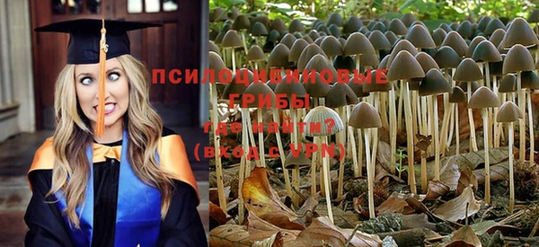 меф Абинск