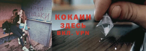 PSILOCYBIN Абаза