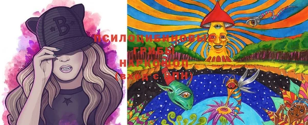PSILOCYBIN Абаза
