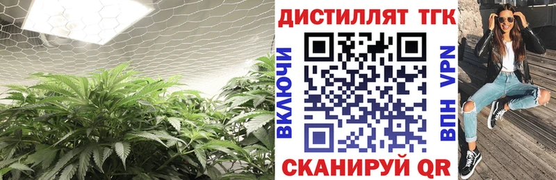 ТГК концентрат  МЕГА tor  Благодарный 