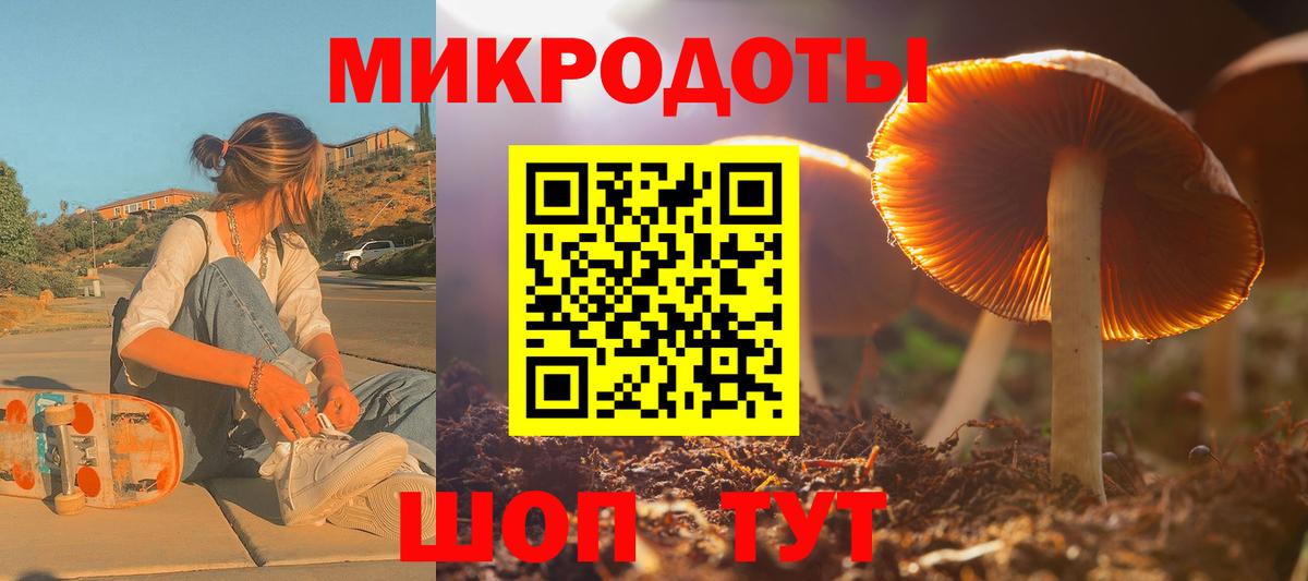 Благодарный  Псилоцибиновые грибы Psilocybine cubensis  Вход с VPN 